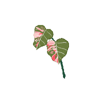 chiarailustra love amor snow winter Sticker
