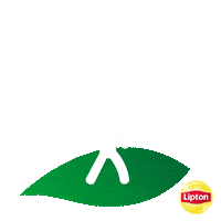 turkish tea day Sticker by Lipton Türkiye