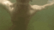 topshelf records prawn GIF