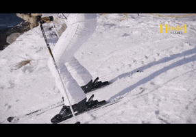 Hostel Anabelhostel GIF by Anabel Magazine