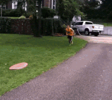 pics thursday GIF