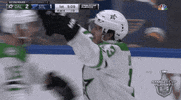 happy ice hockey GIF by NHL