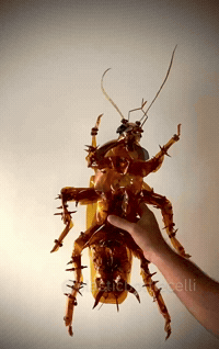Baby Kiss GIF by Jean Scuderi