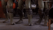 Martial Arts Comedy GIF by Arrow Video