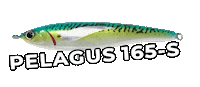 Jackfinlures Sticker by Jack Fin