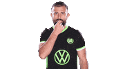 Admir Mehmedi Soccer Sticker by VfL Wolfsburg
