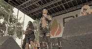 Dance Dancing GIF by Damez