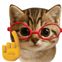 Cat No GIF