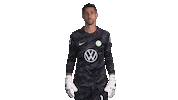 Football Sport Sticker by VfL Wolfsburg