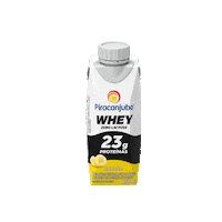 Piracanjuba piracanjuba piracanjubawhey whey pirawhey protein proteina treino musculacao academia yoga exercicio banana cacau frutasvermelhas pastadeamendoim batatadoce baunilha zerolactose zero lactose banana zerolactose zero Sticker