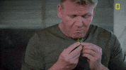 natgeochannel gordon ramsay uncharted laos national geographic uncharted GIF