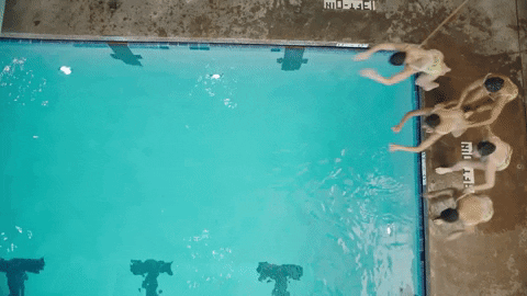 Pool Swimming GIF by Foo Fighters