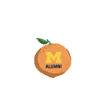 College Football Umsocial Sticker by University of Michigan