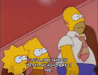 Season 2 GIF by The Simpsons