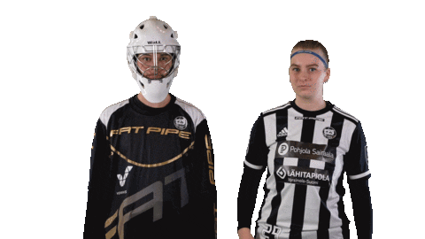 Floorball Salibandy Sticker by F-liiga
