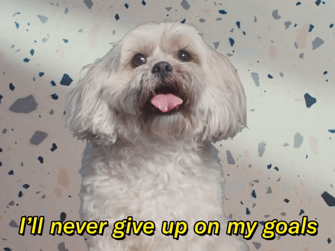 I'll Never Give Up...