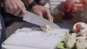 viceland GIF by BEERLAND
