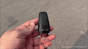 Driving Lets Go GIF by Namaste Car