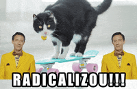 cookie GIF by Bauducco Brasil