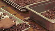 food porn chocolate GIF by Science Friday