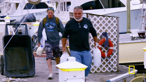 natgeochannel giphygifmaker wicked tuna GIF
