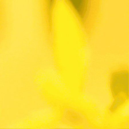 Blooming Daisy Flower GIF by TeaCosyFolk