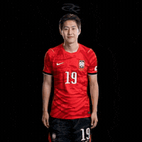 Fifa World Cup Kfa GIF by Respective