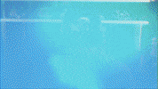 baseball wave GIF by GreenWave