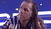 shawn michaels wrestling GIF by WWE
