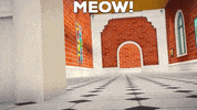 superprod cat day meow miau GIF
