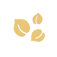 Chicheoupaschichegeneve pois chiche chicheoupaschiche pois chiche Sticker