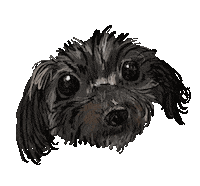 Dog Sticker