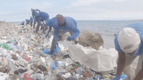 Earth Day GIF by 4ocean