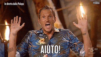 help me alvin GIF by Isola dei Famosi