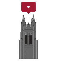 Hawks Thwnd Sticker by Saint Josephs University