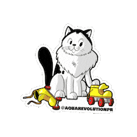 Cat Rollerblade Sticker by Aqua Revolution