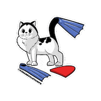 Cat Swimming Sticker by Aqua Revolution