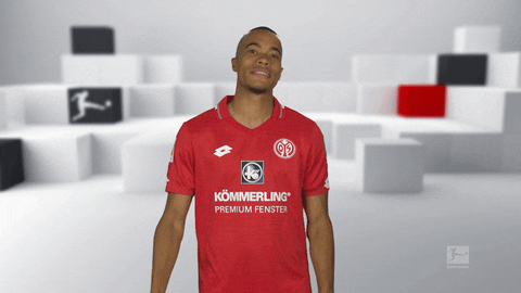 1 Fsv Mainz 05 Football GIF by Bundesliga