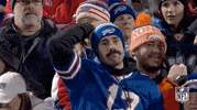 National Football League GIF by NFL