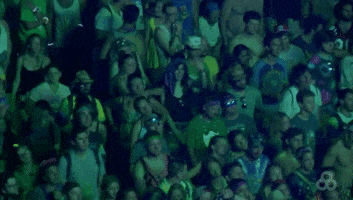 bonnaroo 2016 GIF by Bonnaroo Music and Arts Festival