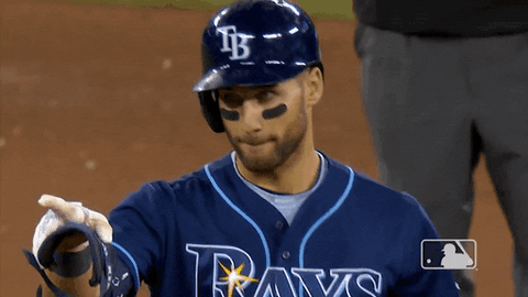 Regular Season Sport GIF by MLB