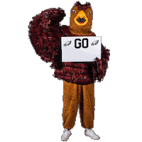 Fly Eagles Fly Sticker by Saint Josephs University