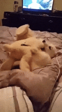 style GIF