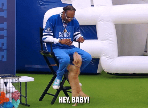 Snoop Dogg GIF by Puppy Bowl