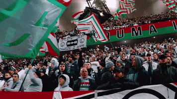 LegiaWarsaw legia legiawarszawa żyleta ł3 GIF