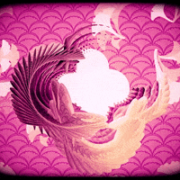pink pattern GIF by hamasakihaus