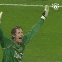 Come On Yes GIF by Manchester United