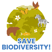 Climate Change Forest Sticker by Dogwood Alliance