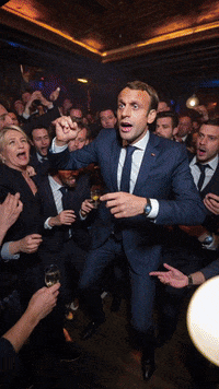 Macron GIF by systaime