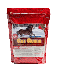 Digestion Gut Health Sticker by Horse Guard Equine Supplements